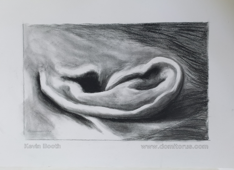 A charcoal-on-paper drawing of an ear